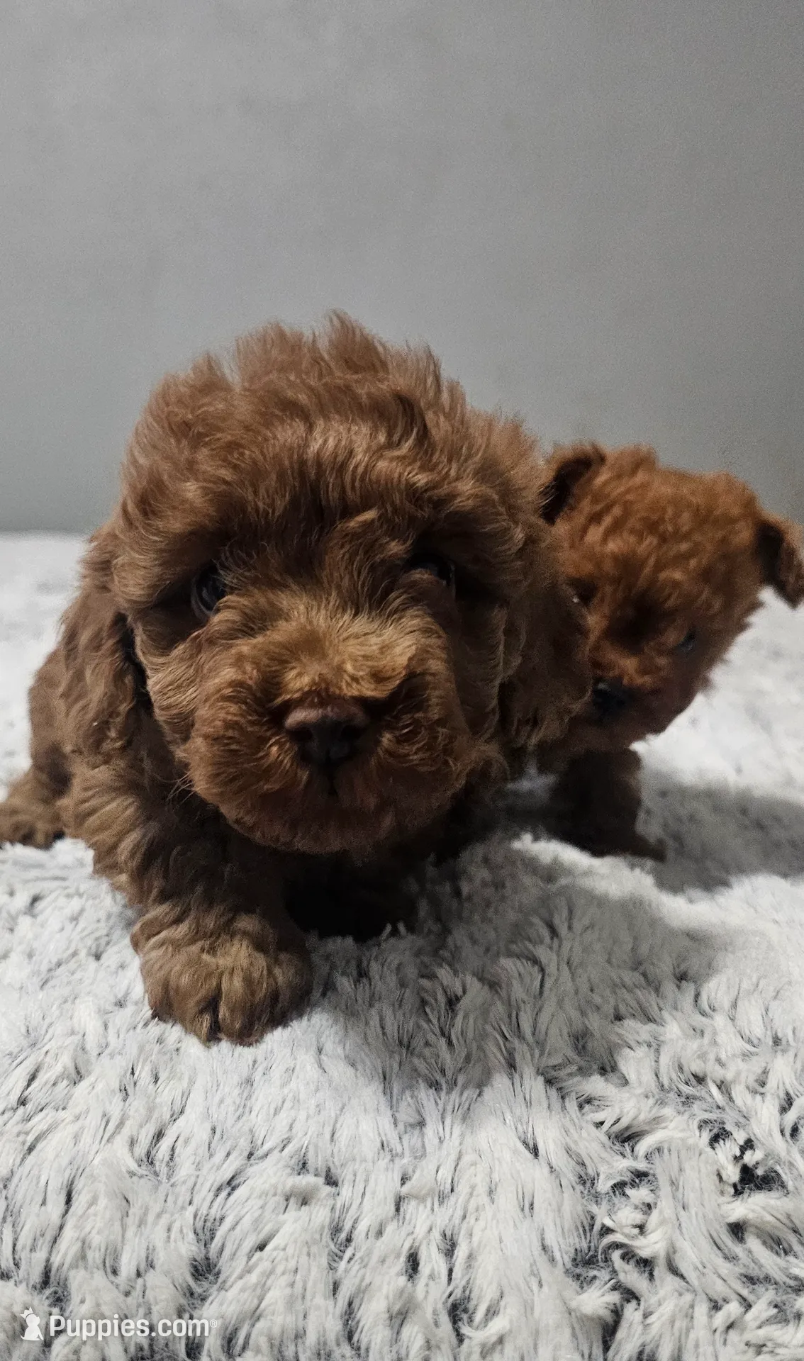 processed/df5ad0ae-4779-4b0f-9c22-021f91fee4aa/listing/97deba24-fdc1-4c13-aa60-efb1c5acc916/11666ad3-deb1-40b2-8c72-a90275f7840a