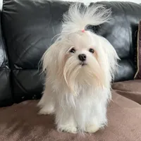 processed/df5ad6ce-809a-47c6-a65b-c4f046a7e0c1/facility/3529ecfb-18de-42bb-947b-ea1947f95ec3