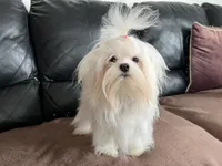 processed/df5ad6ce-809a-47c6-a65b-c4f046a7e0c1/facility/3529ecfb-18de-42bb-947b-ea1947f95ec3