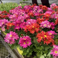 processed/df5ad6ce-809a-47c6-a65b-c4f046a7e0c1/facility/a299b854-3e8d-4c0e-84e8-6bfedf9a9372