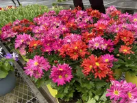 processed/df5ad6ce-809a-47c6-a65b-c4f046a7e0c1/facility/a299b854-3e8d-4c0e-84e8-6bfedf9a9372