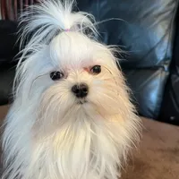 processed/df5ad6ce-809a-47c6-a65b-c4f046a7e0c1/facility/cfbb1f64-96fb-4720-809a-2c97bc1af756