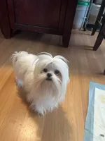 processed/df5ad6ce-809a-47c6-a65b-c4f046a7e0c1/listing/7ee2f55d-2768-4e3e-82cf-c6234fb382d0/32e97ae1-1397-40dc-94e8-b5375e4a0158