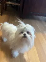 processed/df5ad6ce-809a-47c6-a65b-c4f046a7e0c1/listing/7ee2f55d-2768-4e3e-82cf-c6234fb382d0/751b921f-8302-49cb-b764-f83305b5d710