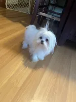 processed/df5ad6ce-809a-47c6-a65b-c4f046a7e0c1/listing/7ee2f55d-2768-4e3e-82cf-c6234fb382d0/a7f78db5-b403-4282-a43a-dd78a8e85234