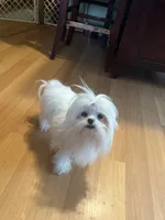 processed/df5ad6ce-809a-47c6-a65b-c4f046a7e0c1/listing/7ee2f55d-2768-4e3e-82cf-c6234fb382d0/aa13b3e9-797b-4ea0-8e8e-a422a6626a3e