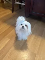 processed/df5ad6ce-809a-47c6-a65b-c4f046a7e0c1/listing/7ee2f55d-2768-4e3e-82cf-c6234fb382d0/caf9bb20-e759-45ae-bf8e-fc16c4628ccb