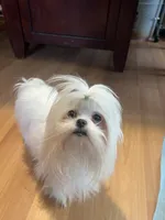 processed/df5ad6ce-809a-47c6-a65b-c4f046a7e0c1/listing/7ee2f55d-2768-4e3e-82cf-c6234fb382d0/d41cd69b-4018-4037-ab93-30725f4a2f6d