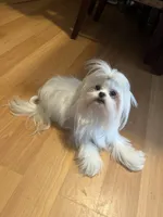 processed/df5ad6ce-809a-47c6-a65b-c4f046a7e0c1/listing/7ee2f55d-2768-4e3e-82cf-c6234fb382d0/ec04d29a-65f9-4a4e-885c-a7e23d0b6780