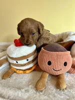 processed/df696b82-b47c-4ac2-8505-4295f3701e49/listing/5cf5f271-44bb-4d53-87ce-262ae762769b/09e4fe12-bfa3-4a55-859f-6cd3a80ff5e9