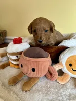 processed/df696b82-b47c-4ac2-8505-4295f3701e49/listing/5cf5f271-44bb-4d53-87ce-262ae762769b/5bb48792-502f-435c-b588-be7f7915ddd3