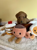 processed/df696b82-b47c-4ac2-8505-4295f3701e49/listing/5cf5f271-44bb-4d53-87ce-262ae762769b/67ac9c40-027b-4e1a-9115-ec9ae8cd00a1