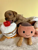 processed/df696b82-b47c-4ac2-8505-4295f3701e49/listing/5cf5f271-44bb-4d53-87ce-262ae762769b/6f30be48-2d04-4daf-93f5-be404cca0297