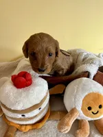 processed/df696b82-b47c-4ac2-8505-4295f3701e49/listing/5cf5f271-44bb-4d53-87ce-262ae762769b/8d42c8d5-feb8-46b7-83a3-338a353b3308