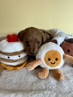 processed/df696b82-b47c-4ac2-8505-4295f3701e49/listing/5cf5f271-44bb-4d53-87ce-262ae762769b/9fd98d09-b8b4-4d33-9a6d-204a7a2a617c