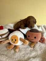 processed/df696b82-b47c-4ac2-8505-4295f3701e49/listing/5cf5f271-44bb-4d53-87ce-262ae762769b/c35d1f3b-3884-4768-bf74-a0be67897dda