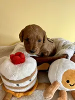 processed/df696b82-b47c-4ac2-8505-4295f3701e49/listing/5cf5f271-44bb-4d53-87ce-262ae762769b/e5e36516-c7f2-4152-a4c8-076b0b7cc8bd