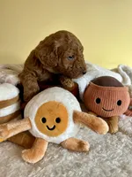 processed/df696b82-b47c-4ac2-8505-4295f3701e49/listing/98c353e6-ab80-4b6f-9d4f-f92c972ae4d4/8f6e38df-ed28-44c9-81b4-a846e36fb931