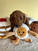 processed/df696b82-b47c-4ac2-8505-4295f3701e49/listing/98c353e6-ab80-4b6f-9d4f-f92c972ae4d4/df75352e-b1ca-459d-8223-508f18a6a15f