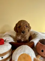 processed/df696b82-b47c-4ac2-8505-4295f3701e49/listing/98c353e6-ab80-4b6f-9d4f-f92c972ae4d4/e3b0a085-a364-4056-89e9-66dca3f5583e