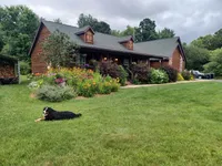 AKC Cora, a female Bernese Mountain Dog for sale in Stanley, WI – 3 of 8