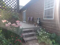 AKC Tundra, a female Bernese Mountain Dog for sale in Stanley, WI – 6 of 7