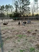 processed/df723353-c4d1-45dc-b08d-c693b4dfd97f/facility/00ab9a2b-1f36-4ded-869c-11b038135bae