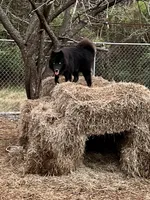 processed/df723353-c4d1-45dc-b08d-c693b4dfd97f/facility/181d7bb8-1866-45c8-a69e-9a17423a2392