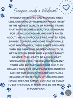 processed/df723353-c4d1-45dc-b08d-c693b4dfd97f/facility/4331307a-e69a-442a-90df-284bc855c660