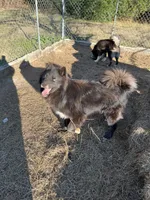 processed/df723353-c4d1-45dc-b08d-c693b4dfd97f/facility/64be2b6f-8e5d-40e3-aed6-3f95101f10c6