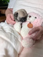 processed/df97d7ab-7426-4578-a9be-fa1a4cfe14f5/listing/2e5ab4fb-09df-46e6-8b18-4eb2e0b33d9b/449f3fe8-a993-42e9-b0ec-321681258a82