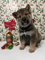 processed/dfa14c0c-9dbb-403d-852e-295160f10fa9/listing/886ff79e-2feb-4971-8763-9c4da3e43bd4/999a3e92-6d1e-4b7b-82c2-c71d7153fb0d