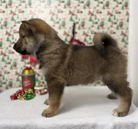 processed/dfa14c0c-9dbb-403d-852e-295160f10fa9/listing/886ff79e-2feb-4971-8763-9c4da3e43bd4/ee64be0f-a101-4ac1-9b35-f026af337c68