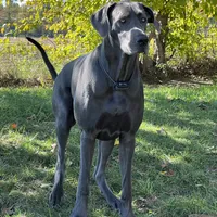 processed/dfa2bf32-c0a7-4f65-aac2-28f5b327c6ae/facility/115e01ad-61cb-44e3-a250-4bb98f79e96a