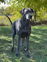 processed/dfa2bf32-c0a7-4f65-aac2-28f5b327c6ae/facility/115e01ad-61cb-44e3-a250-4bb98f79e96a