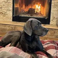 processed/dfa2bf32-c0a7-4f65-aac2-28f5b327c6ae/facility/7ea09663-7356-42c8-baee-c7aaeed24edb