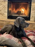 processed/dfa2bf32-c0a7-4f65-aac2-28f5b327c6ae/facility/7ea09663-7356-42c8-baee-c7aaeed24edb