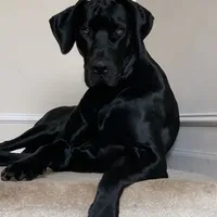 processed/dfa2bf32-c0a7-4f65-aac2-28f5b327c6ae/facility/958aae88-590e-4450-a2d6-239b7edfbf06