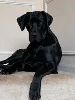 processed/dfa2bf32-c0a7-4f65-aac2-28f5b327c6ae/facility/958aae88-590e-4450-a2d6-239b7edfbf06