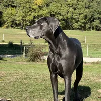 processed/dfa2bf32-c0a7-4f65-aac2-28f5b327c6ae/facility/a137a170-8fcb-42ef-8f9b-65d13711f93a