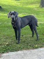 processed/dfa2bf32-c0a7-4f65-aac2-28f5b327c6ae/facility/bfd12984-895e-4c73-882f-9c1af37596bf