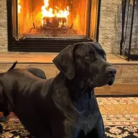 processed/dfa2bf32-c0a7-4f65-aac2-28f5b327c6ae/facility/c17000a1-586a-43d9-927b-794b6533c403