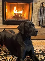 processed/dfa2bf32-c0a7-4f65-aac2-28f5b327c6ae/facility/c17000a1-586a-43d9-927b-794b6533c403