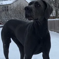 processed/dfa2bf32-c0a7-4f65-aac2-28f5b327c6ae/facility/dd4002fc-63d7-479f-84c0-068bfce3de4a