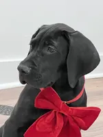 processed/dfa2bf32-c0a7-4f65-aac2-28f5b327c6ae/listing/f4510e54-5085-4c59-90ca-325f08a84eb5/00e78296-03a2-4cb9-95fe-8f0d3298d4da