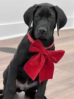 processed/dfa2bf32-c0a7-4f65-aac2-28f5b327c6ae/listing/f4510e54-5085-4c59-90ca-325f08a84eb5/34da8110-663e-404a-a063-2e74ef44b8c9