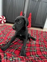 processed/dfa2bf32-c0a7-4f65-aac2-28f5b327c6ae/listing/f4510e54-5085-4c59-90ca-325f08a84eb5/3a761a5c-ea78-499c-a4e3-c2a70534a35b