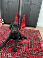 processed/dfa2bf32-c0a7-4f65-aac2-28f5b327c6ae/listing/f4510e54-5085-4c59-90ca-325f08a84eb5/54c08f6f-e178-466c-91b3-da99b2c077e9