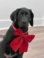 processed/dfa2bf32-c0a7-4f65-aac2-28f5b327c6ae/listing/f4510e54-5085-4c59-90ca-325f08a84eb5/5f9b2a73-d3a2-435f-bffd-c02280032f85