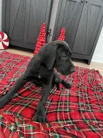 processed/dfa2bf32-c0a7-4f65-aac2-28f5b327c6ae/listing/f4510e54-5085-4c59-90ca-325f08a84eb5/ef66aa26-c3b3-4240-93de-57b1100e1ecd